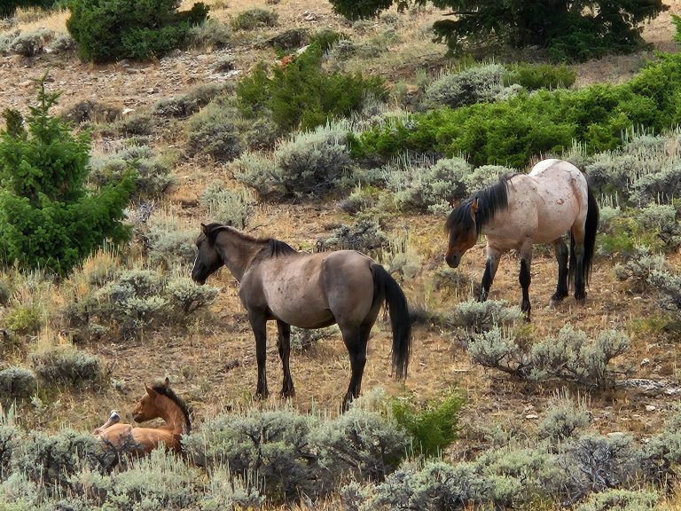 175207ee-2232-4dc7-a81a-636a0ec433e8