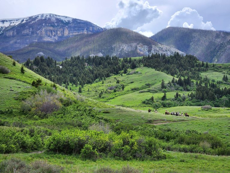 4bfbd53e-0f5a-4e65-b13c-22a44a912e6e