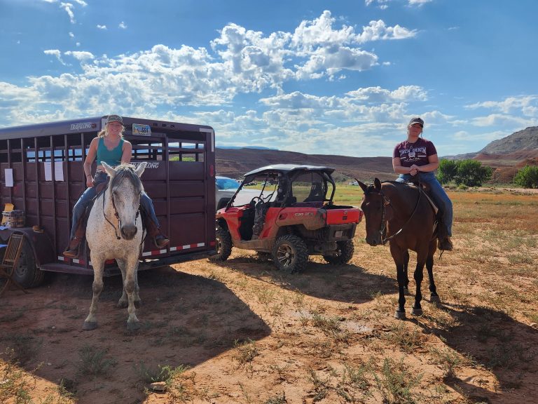 bba1e8ce-77b6-4bdf-acae-4a2874b2a0ff