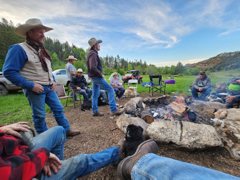 d68f3c32-d8c0-49aa-8241-6b2469c71798